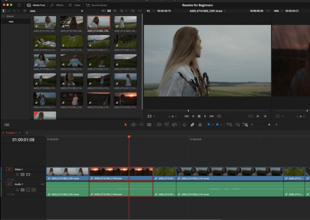 DaVinci Resolve, страница Edit